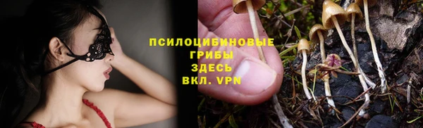 дживик Алексин