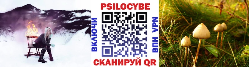 купить сайты Усолье-Сибирское ОМГ ОМГ зеркало Псилоцибиновые грибы мухоморы