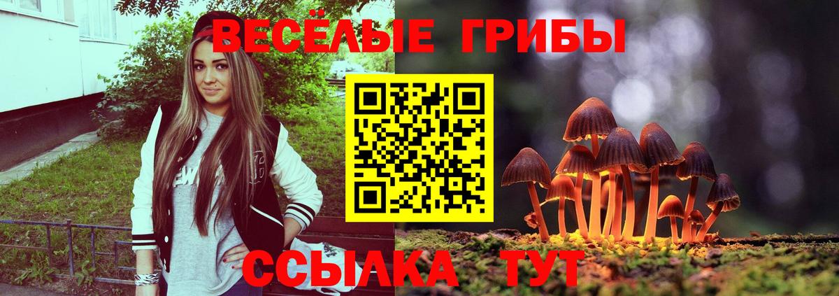 Галлюциногенные грибы Cubensis Усолье-Сибирское