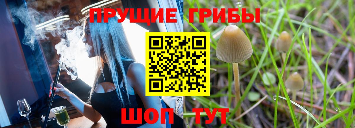 где найти наркотики  Псилоцибиновые грибы Psilocybe  Вход с VPN  Усолье-Сибирское 